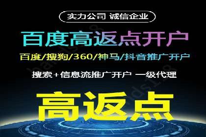 百度推广全攻略：成功案例剖析