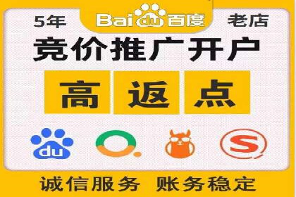 谷歌SEM案例研究：数据分析与效果评估